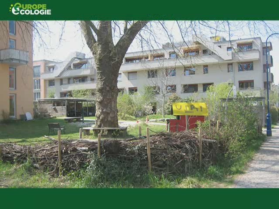 Escapade à Frieburg
