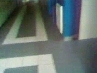 Visite guidée culturelle d'un Lycée