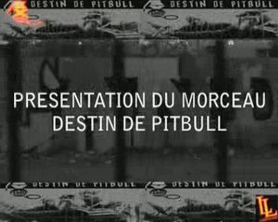 INTERVIEW DESTIN DE PITBULL ALIEN XPLOSIF AUBERVILLIERS 9330