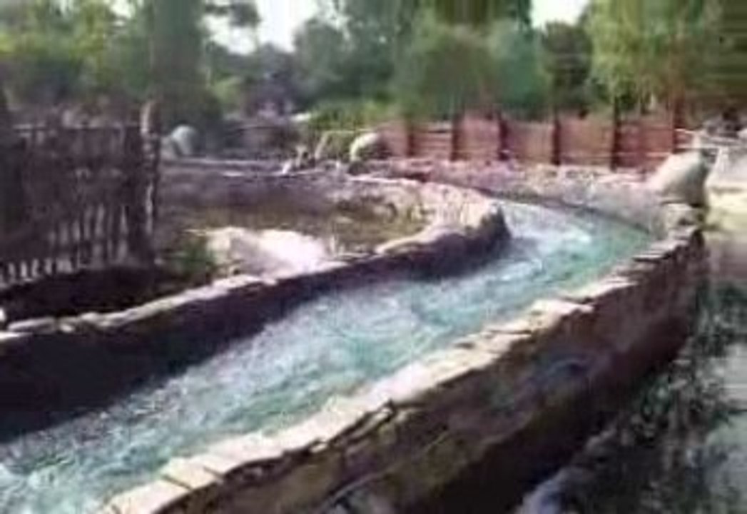 LESLY KIKA SABRINA ET COUTA EN MODE ON C BIEN FAI AROSé