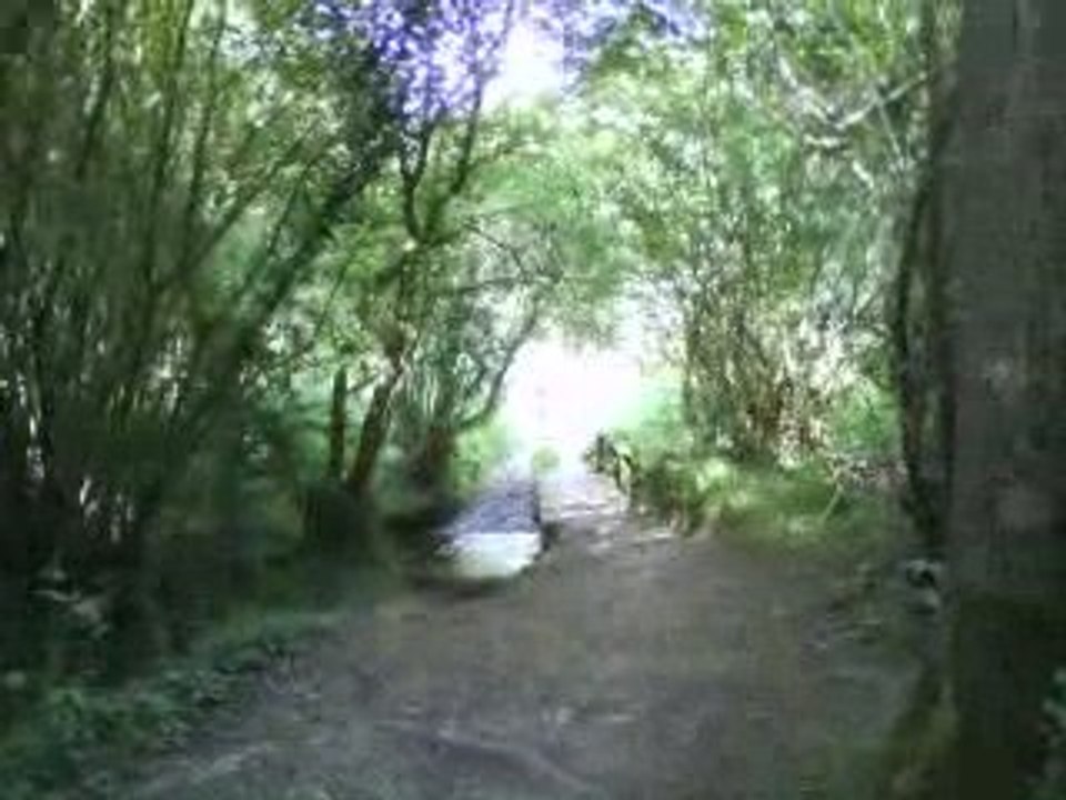 MOV00549