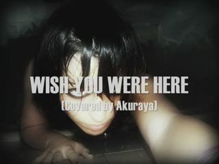 Wish You Were Here