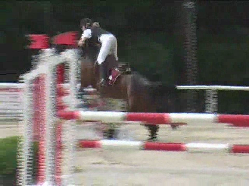 Pia Breiner, Springreiten, Laab im Walde (2008-088)