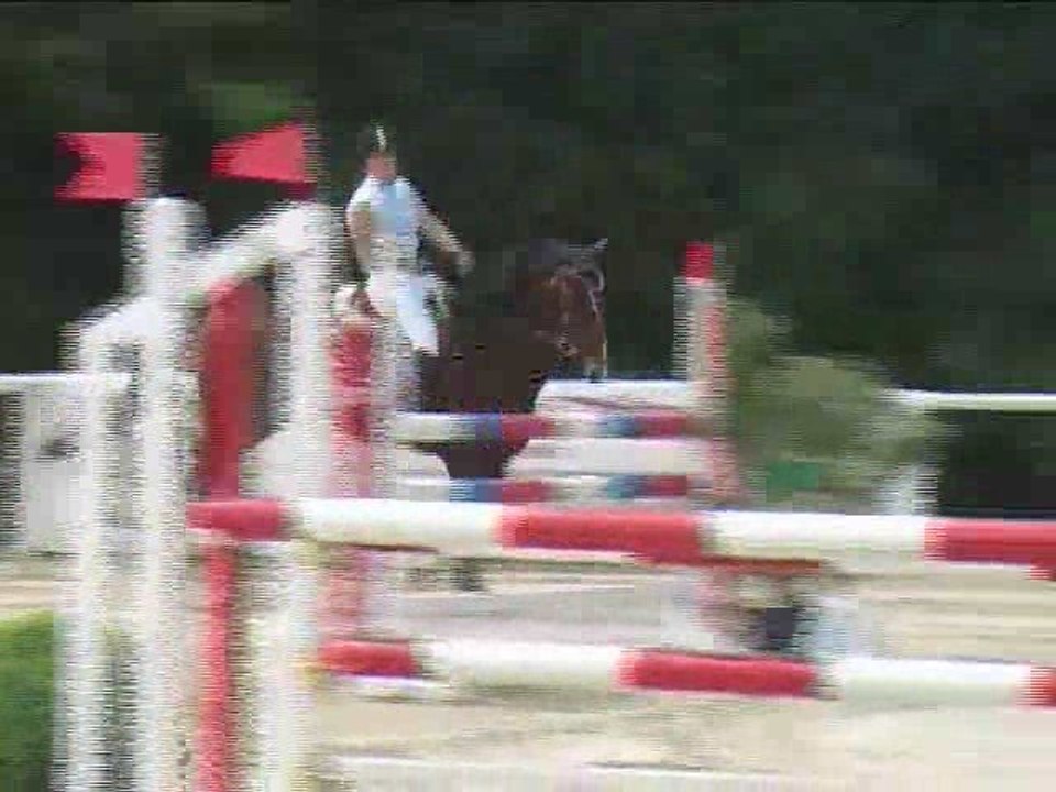 Sabrina Winkler, Springreiten, Laab im Walde (2008-090)