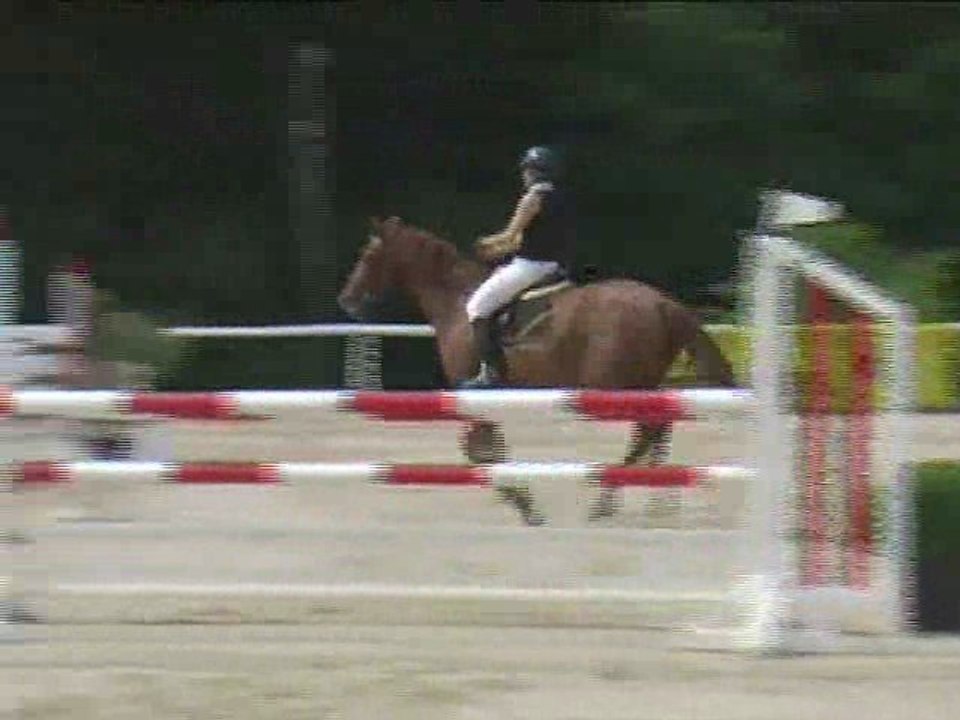 Arzu Fatura, Springreiten, Laab im Walde (2008-091)