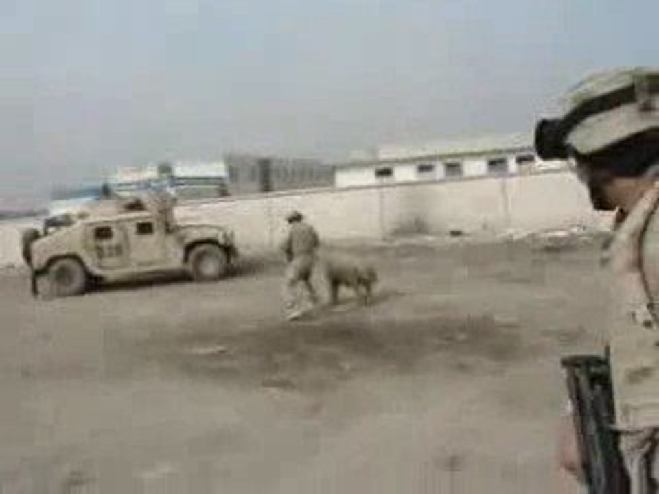 Irak-soldat-mouton