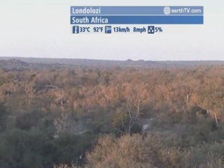 New York - USA, Geneva - Switzerland, Los Angeles - USA, Budapest - Hungary, Londolozi - South Africa, Berlin - Germany, Yas Island - UAE - Abu Dhabi