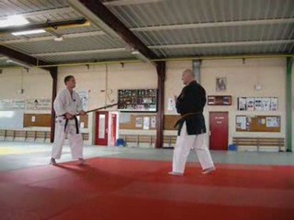 Nihon Tai jitsu - Séminaire Tours 2009 - Philippe Avril