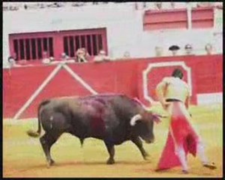 Vic Corrida Concours Palha