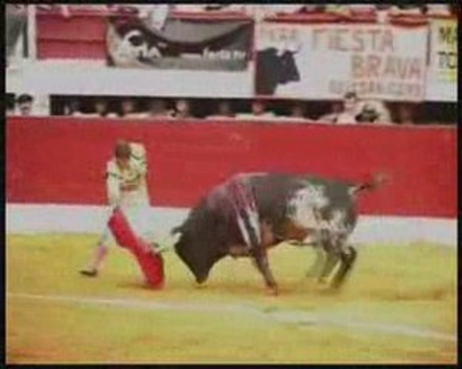 Vic Corrida Concours Cebada Gago