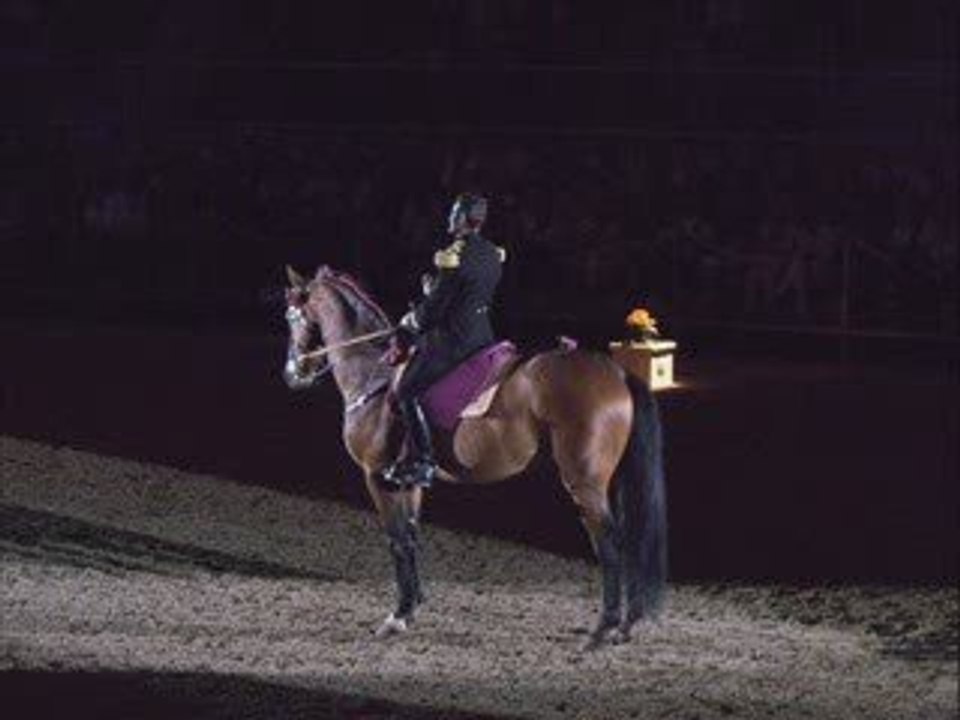 Le printemps des écuyers