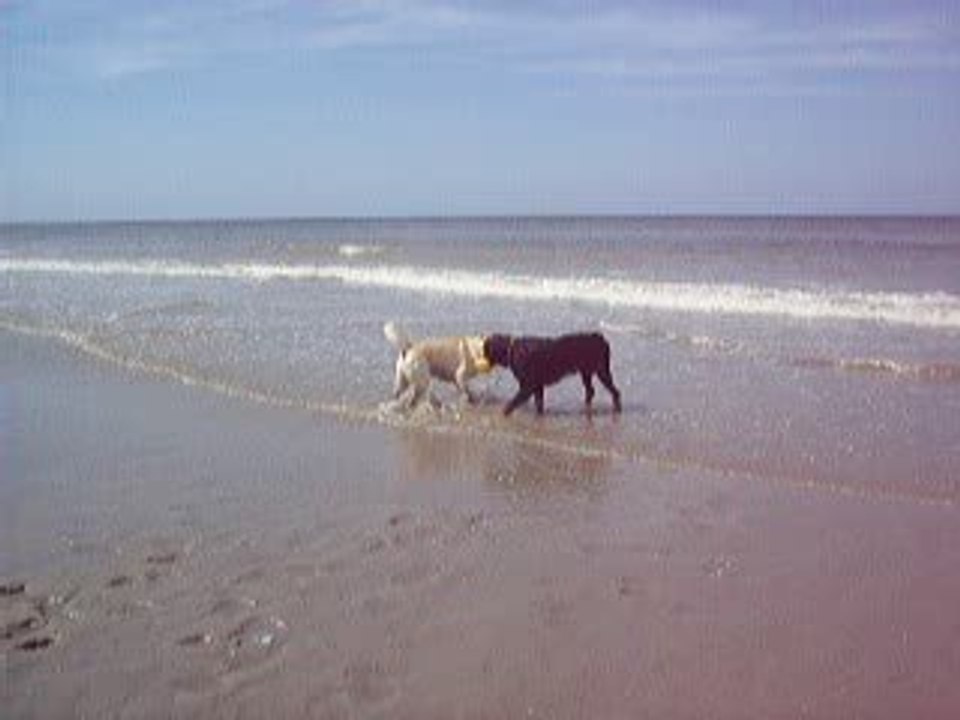 Mes petits mec à la mer