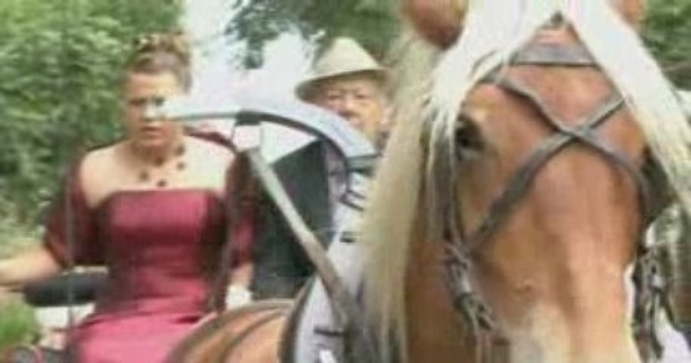 Julien mariage Delphine Sébastien