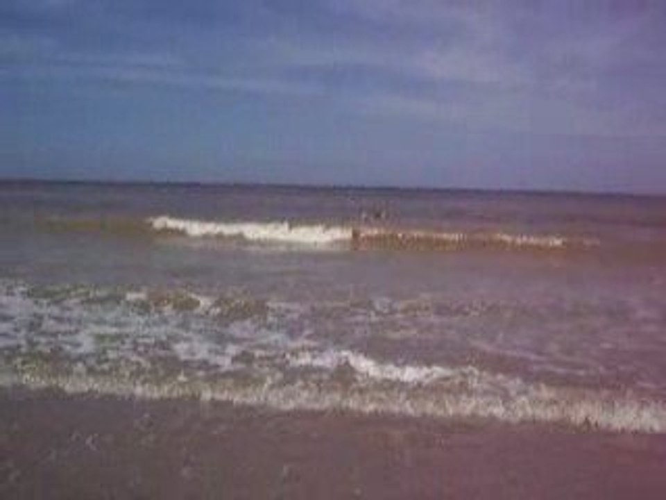 Mes petits mecs à la mer (1)