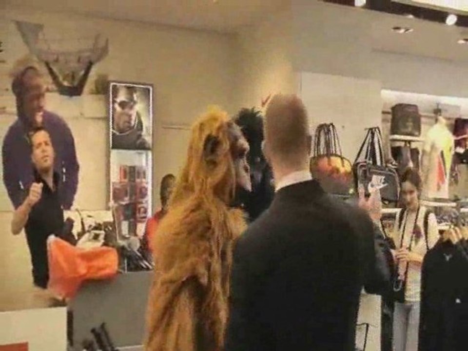 Les réscapés de la déforestation à Lille