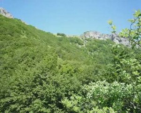 Le Pas de la Sausse (Vercors Centre)