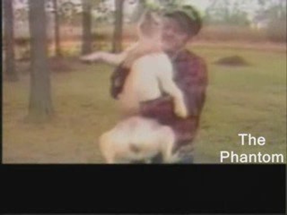 Un chien qui grimpe aux arbres