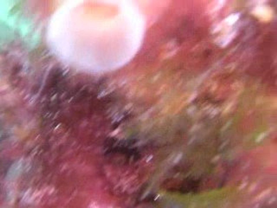 la mer vue à l'intérieur