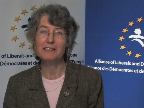 [60SEC] Fiona Hall : Before 2009 European Elections