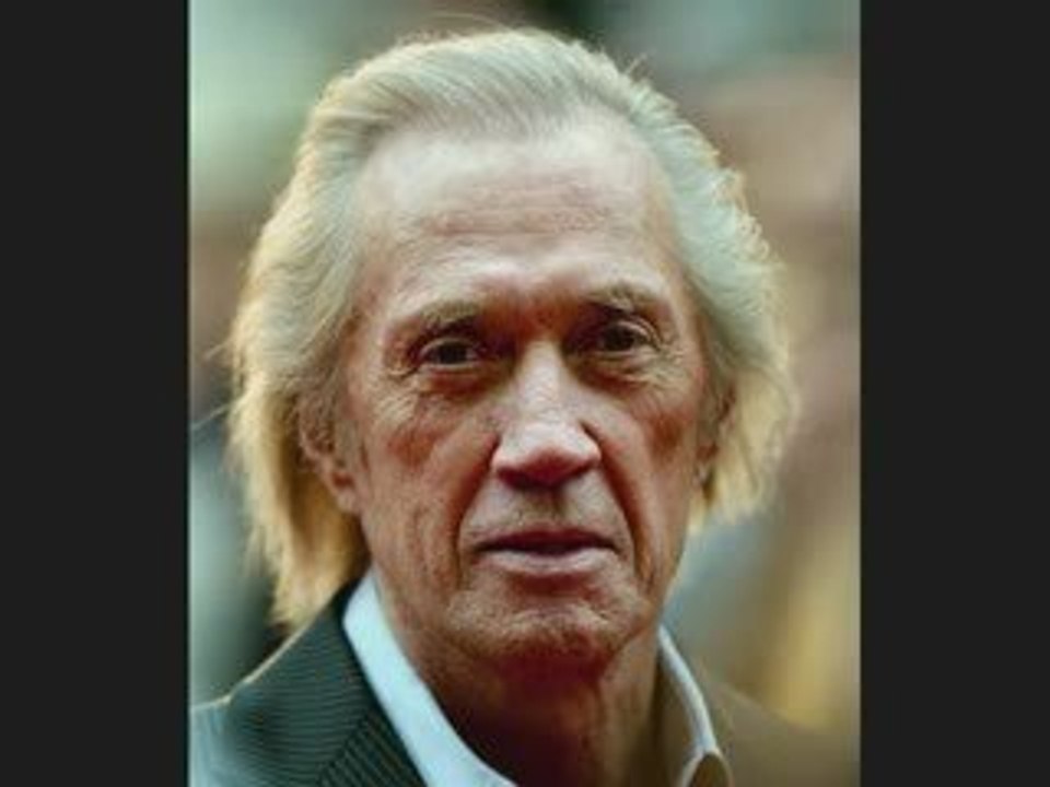 Brazilian Martial Arts-Brazilian Jiu-Jitsu