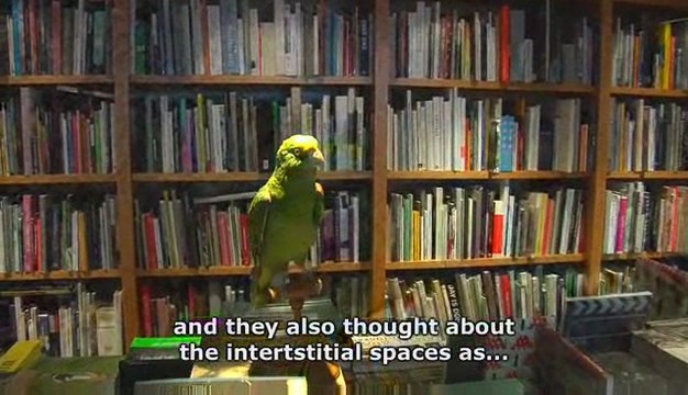 Terrains de Jeux par Fabienne Fulchéri au Jeu de Paume