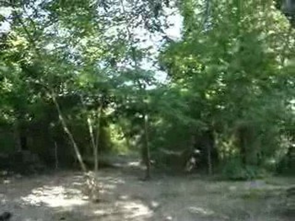 MOV09469