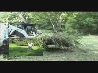 TREE SPADE Bobcat Skid Loader Bucket or Fork attachment
