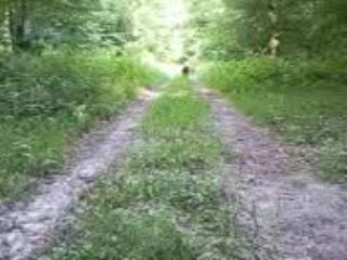 Rott and Staff "Le rappel"!!!