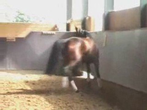 Lorca liberté et premiers sauts