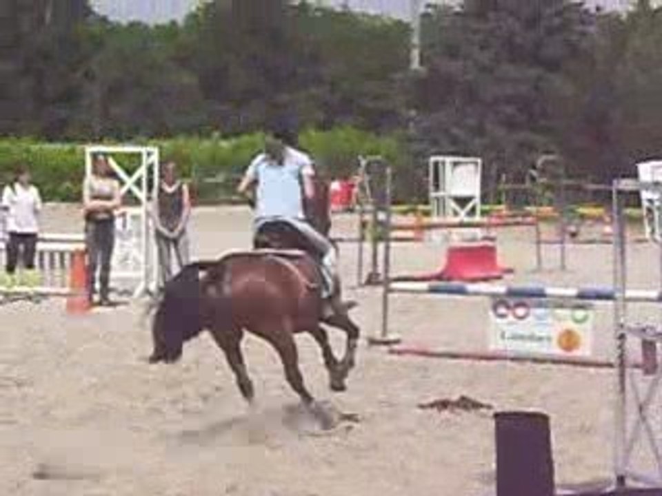 Moi et kenzo en concours