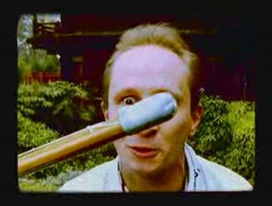 Les carnets de Monsieur Manatane - Le japon