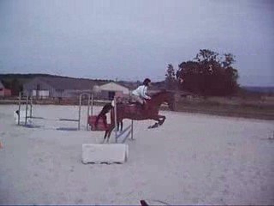Moi & Dom