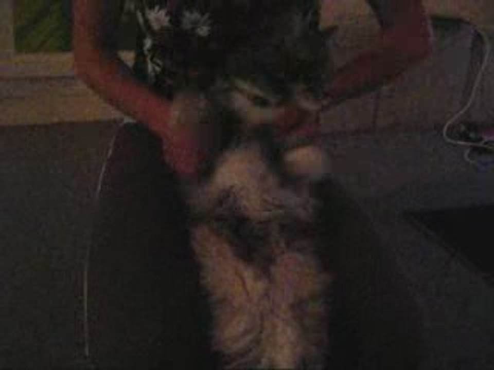 Doud'z