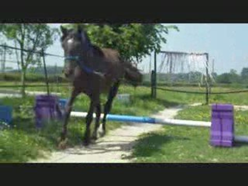 ulrika 240509