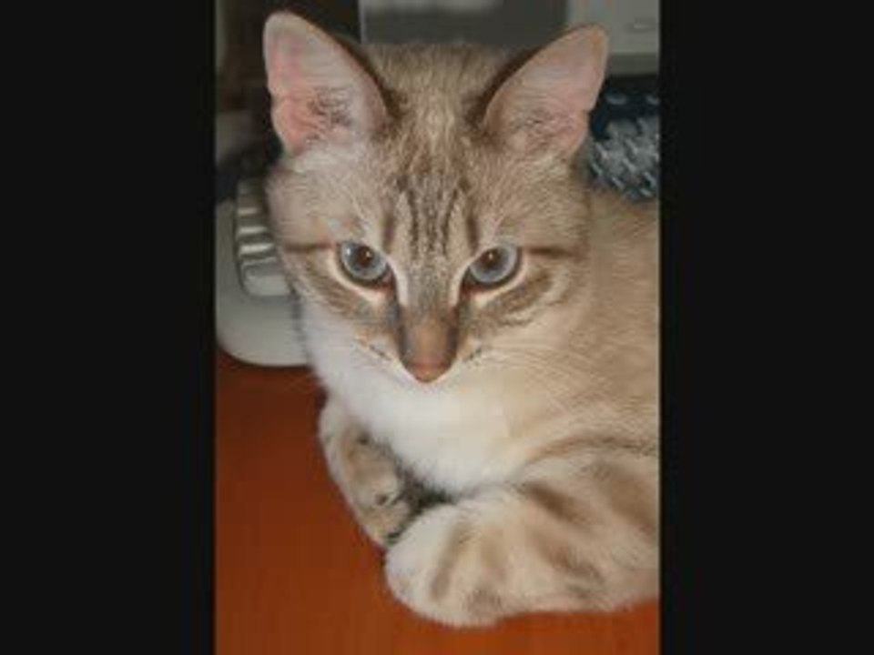 La Grande Arnaque de l'hypermédicalisation des grossesses2/2