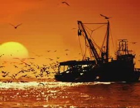 AHMET KAYA ADA SAHİLLERİNDE BEKLİYORUM