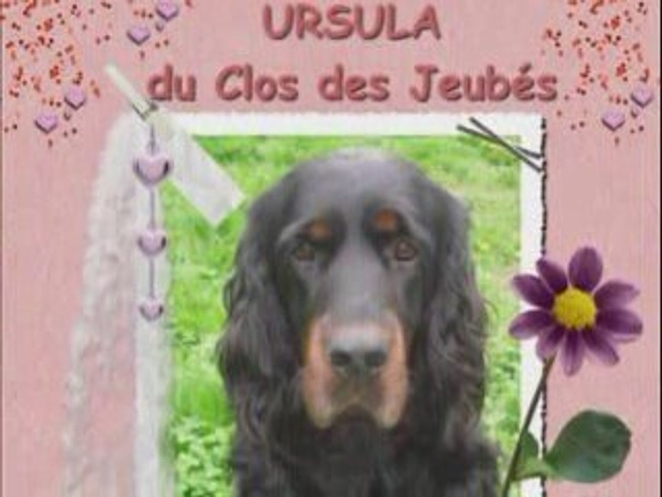 Les BB sont arrivés