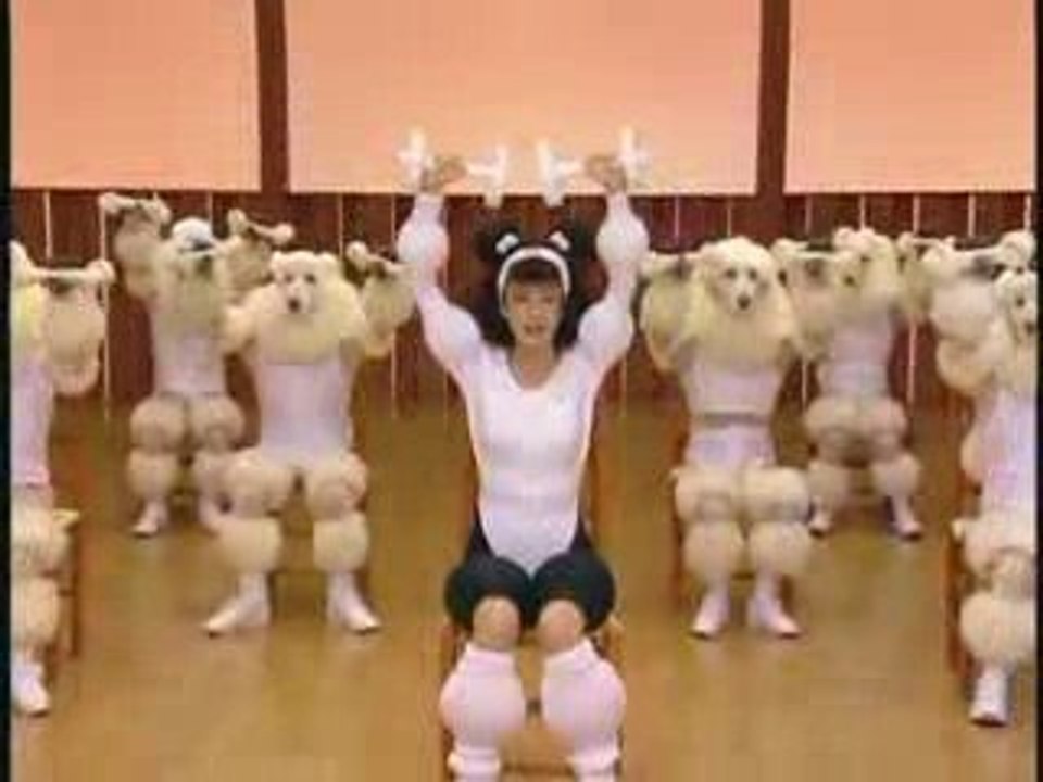Pudel Workout - WTF