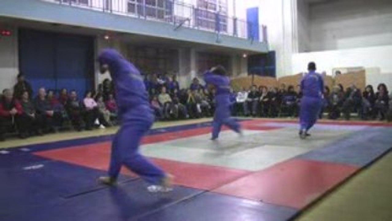 Viet vo dao - Performance, Demonstration - Les Lilas France