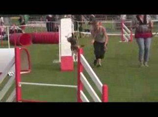 STGR Lezignan Astro Agility2