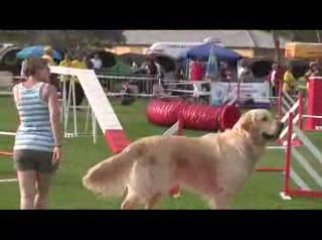 STGR Lezignan Arko Agility2