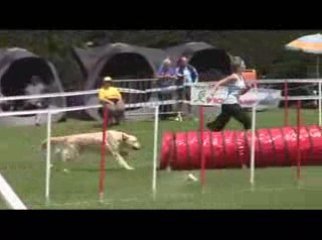 STGR Lezignan Arko Jumping2