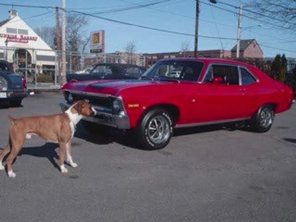 Vintage Auto Vintage Auto Vintage Auto