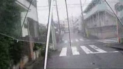 Parapluie transparent japonais