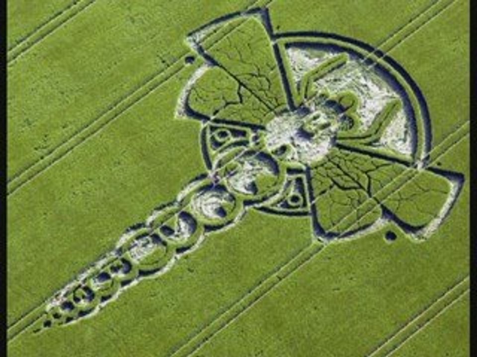 Dragonfly Crop Circle Appeared June 4th 2009 UK Video