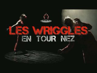 LES WRIGGLES Teaser NEW DVD