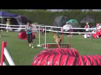 STGR Lezignan Sindbad Jumping1