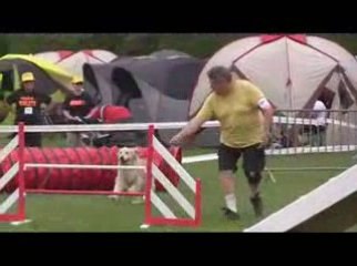 STGR Lezignan Salsa Agility1