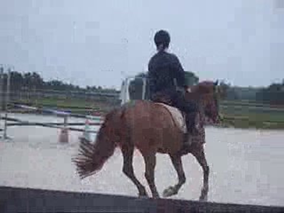 Chloé & Qualoo
