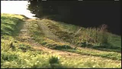 Paper Mario: La Porte Millénaire - Pub (US)